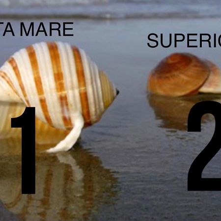 La Conchiglia A Marina Apartment Marina Di Carrara Bagian luar foto