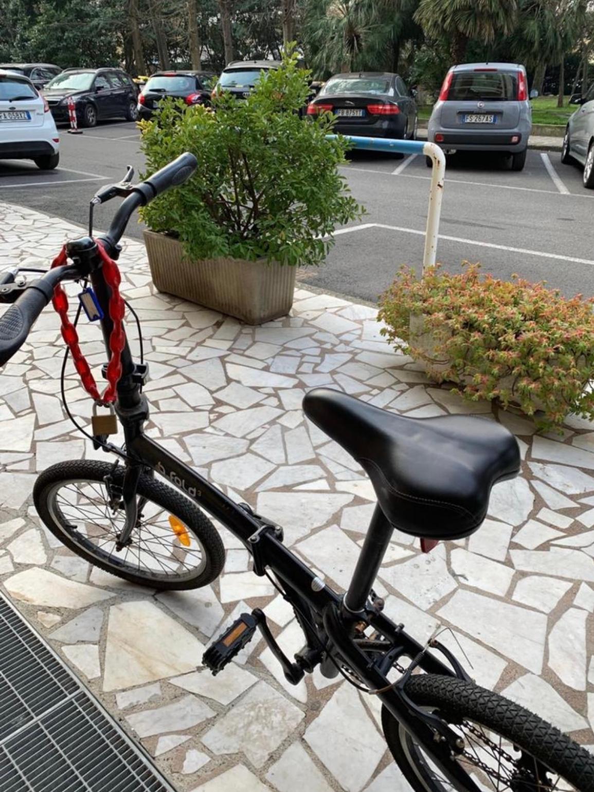 La Conchiglia A Marina Apartment Marina Di Carrara Bagian luar foto